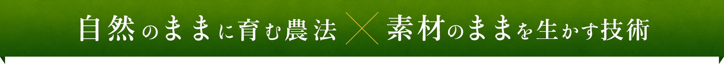 自然のままに育む農法 × 素材のままを生かす技術