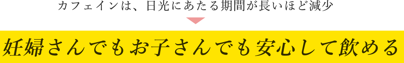 カフェインは、日光にあたる期間が長いほど減少→妊婦さんでもお子さんでも安心して飲める