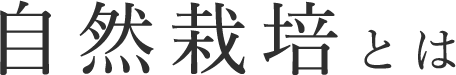 自然栽培とは