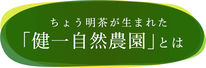 ちょう明茶が生まれた｢健一自然農園｣とは