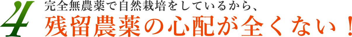 4.完全無農薬で自然栽培をしているから、残留農薬の心配が全くない！