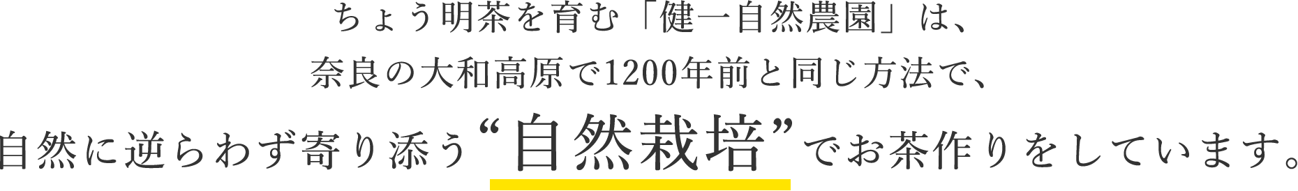 ちょう明茶を育む「健一自然農園」は、奈良の大和高原で1200年前と同じ方法で、自然に逆らわず寄り添う“自然栽培”でお茶作りをしています。