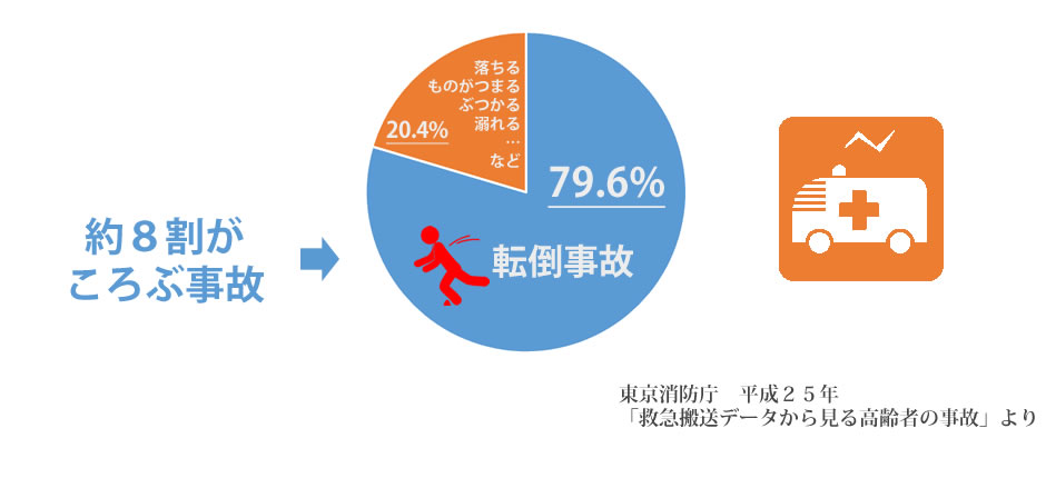 「救急搬送データから見る高齢者の事故」より