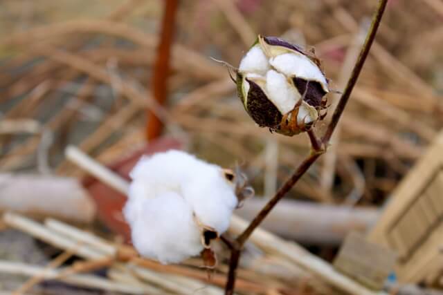 【花粉症の対策】外出時も花粉を対策しよう！