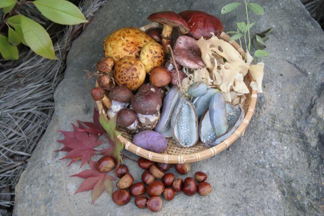 【季節の変わり目】季節の旬の食べ物で疲労を回復しよう！