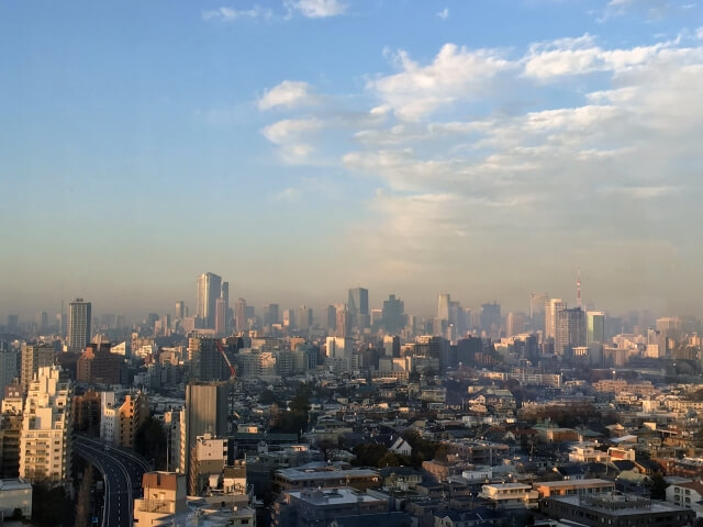 【PM2.5対策】アレルギー症状から身を守るためPM2.5の対策しよう!