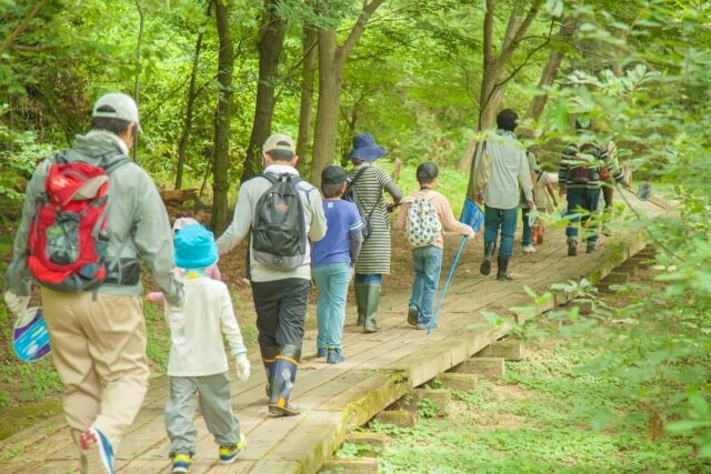 【夏のレジャーは虫刺されに注意】10種の虫刺されの症状や対処方法を紹介