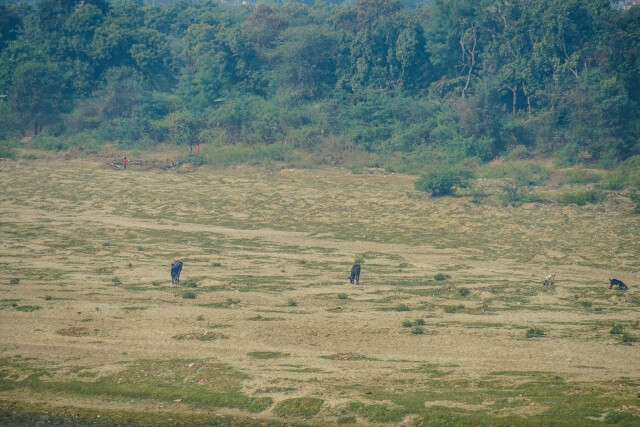 ＜陸に上がったら、塩が足りなかった・・・＞