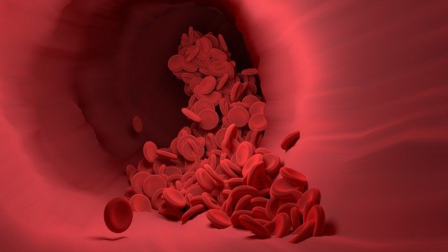 【朗報】血液をサラサラにする正しい方法。血液がサラサラな人は病気のリスクが低い!?