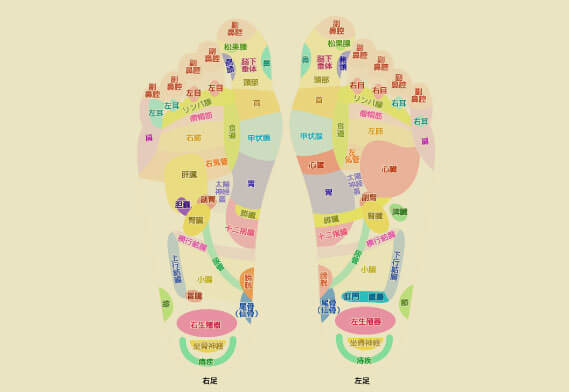 足裏のツボと反射区の違い