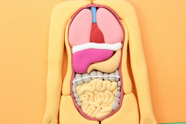 【生活習慣病】簡単にできるオススメの生活習慣病を予防する方法