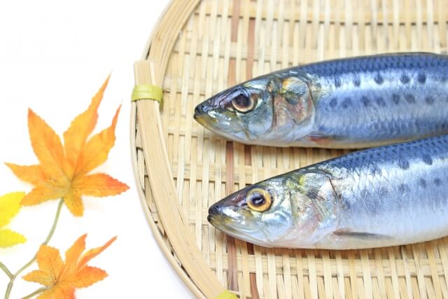 青魚に含まれるEPA・DHAは高血圧や動脈硬化に効果的！EPA、DHAの作用と上手な摂取方法とは？